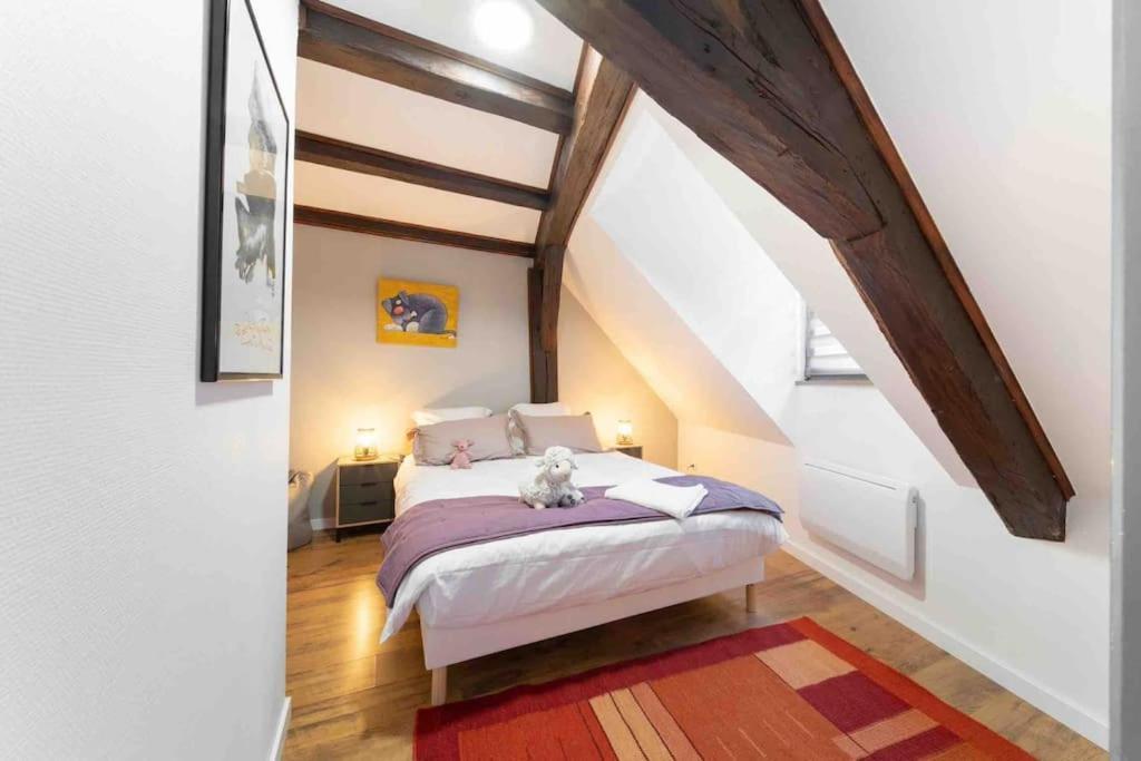 Les Lionceaux, 120M2 A Colmar, Place De Parking Gratuite Eksteriør bilde
