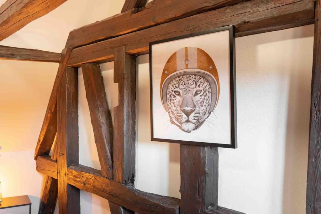 Les Lionceaux, 120M2 A Colmar, Place De Parking Gratuite Eksteriør bilde