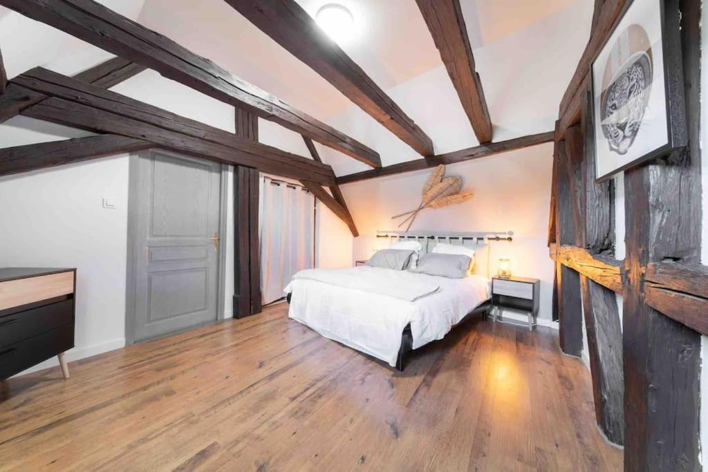 Les Lionceaux, 120M2 A Colmar, Place De Parking Gratuite Eksteriør bilde