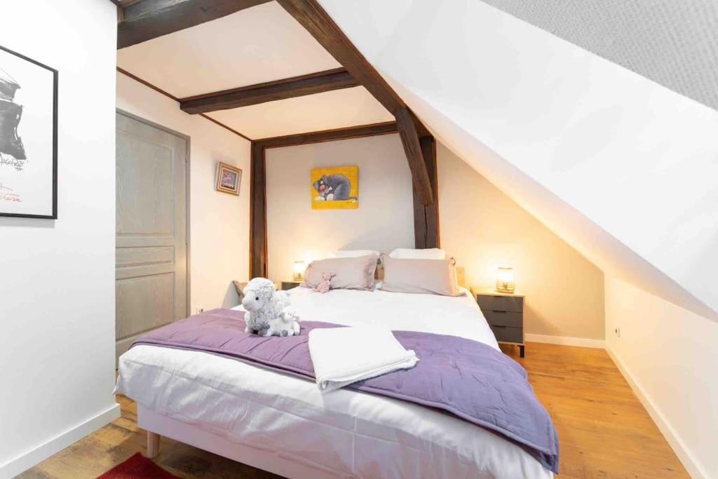 Les Lionceaux, 120M2 A Colmar, Place De Parking Gratuite Eksteriør bilde