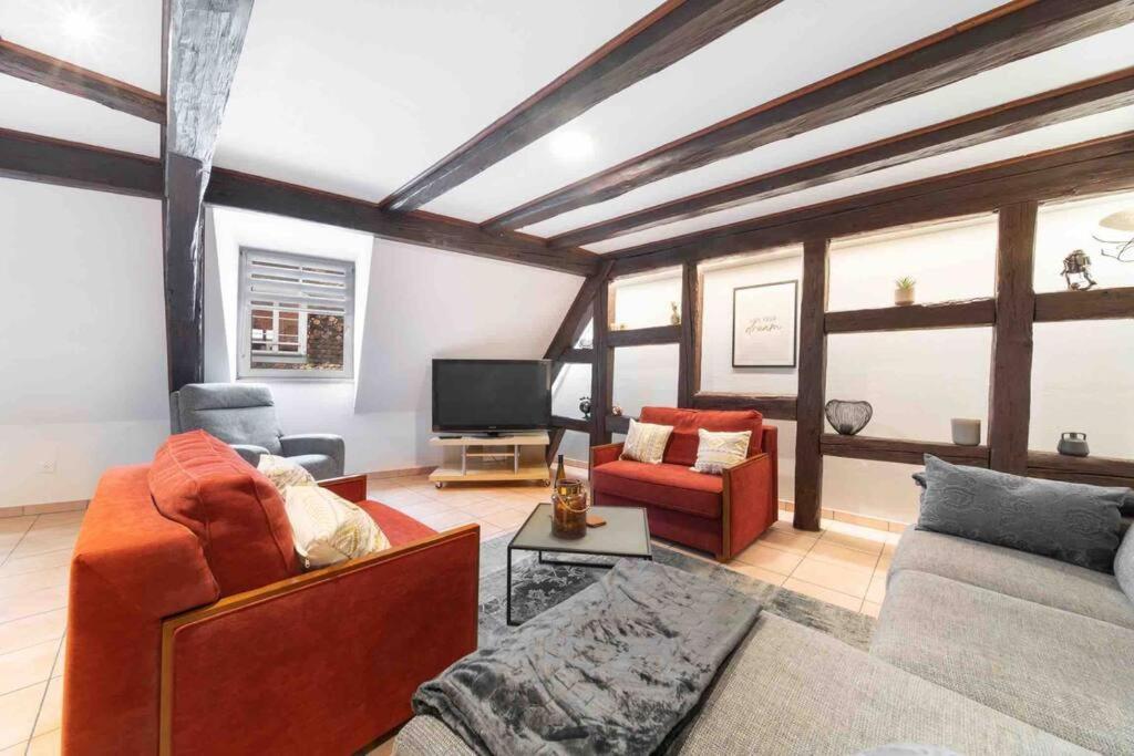 Les Lionceaux, 120M2 A Colmar, Place De Parking Gratuite Eksteriør bilde