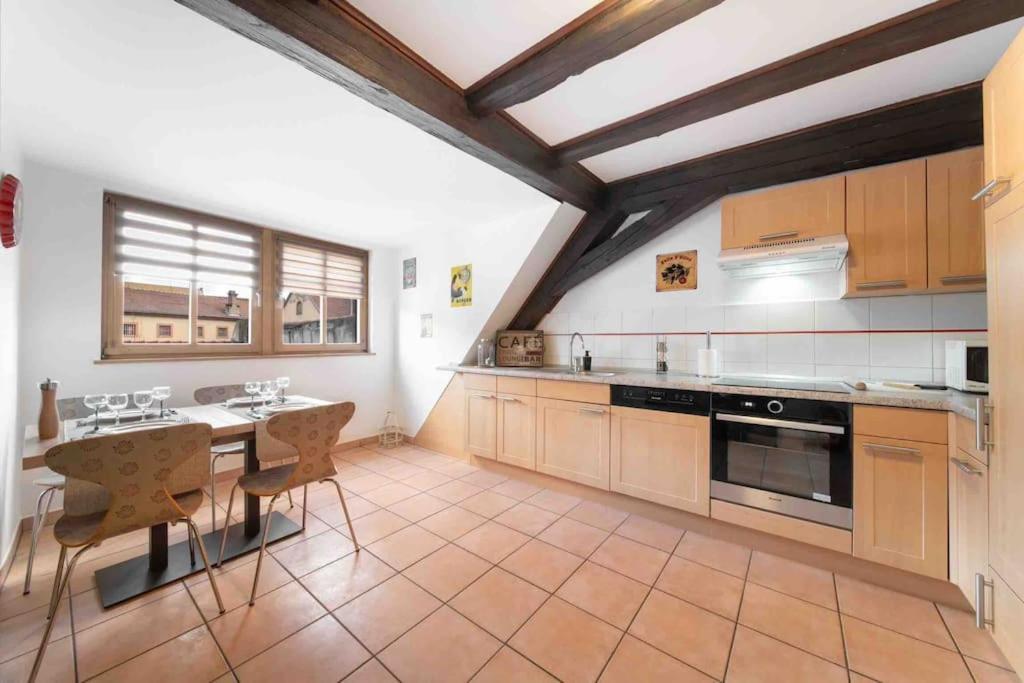 Les Lionceaux, 120M2 A Colmar, Place De Parking Gratuite Eksteriør bilde