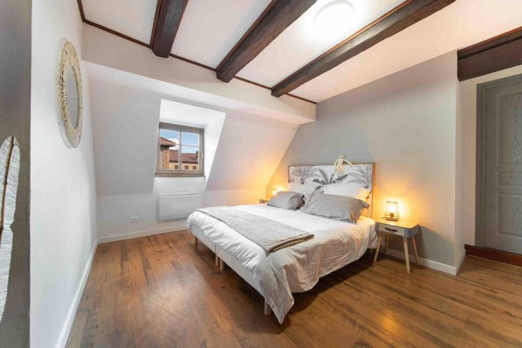 Les Lionceaux, 120M2 A Colmar, Place De Parking Gratuite Eksteriør bilde